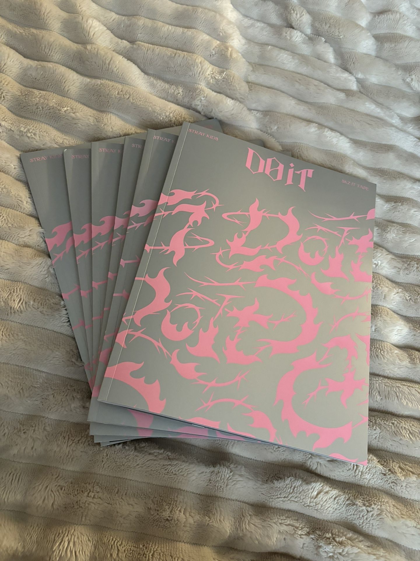 Stray Kids Do It Albums