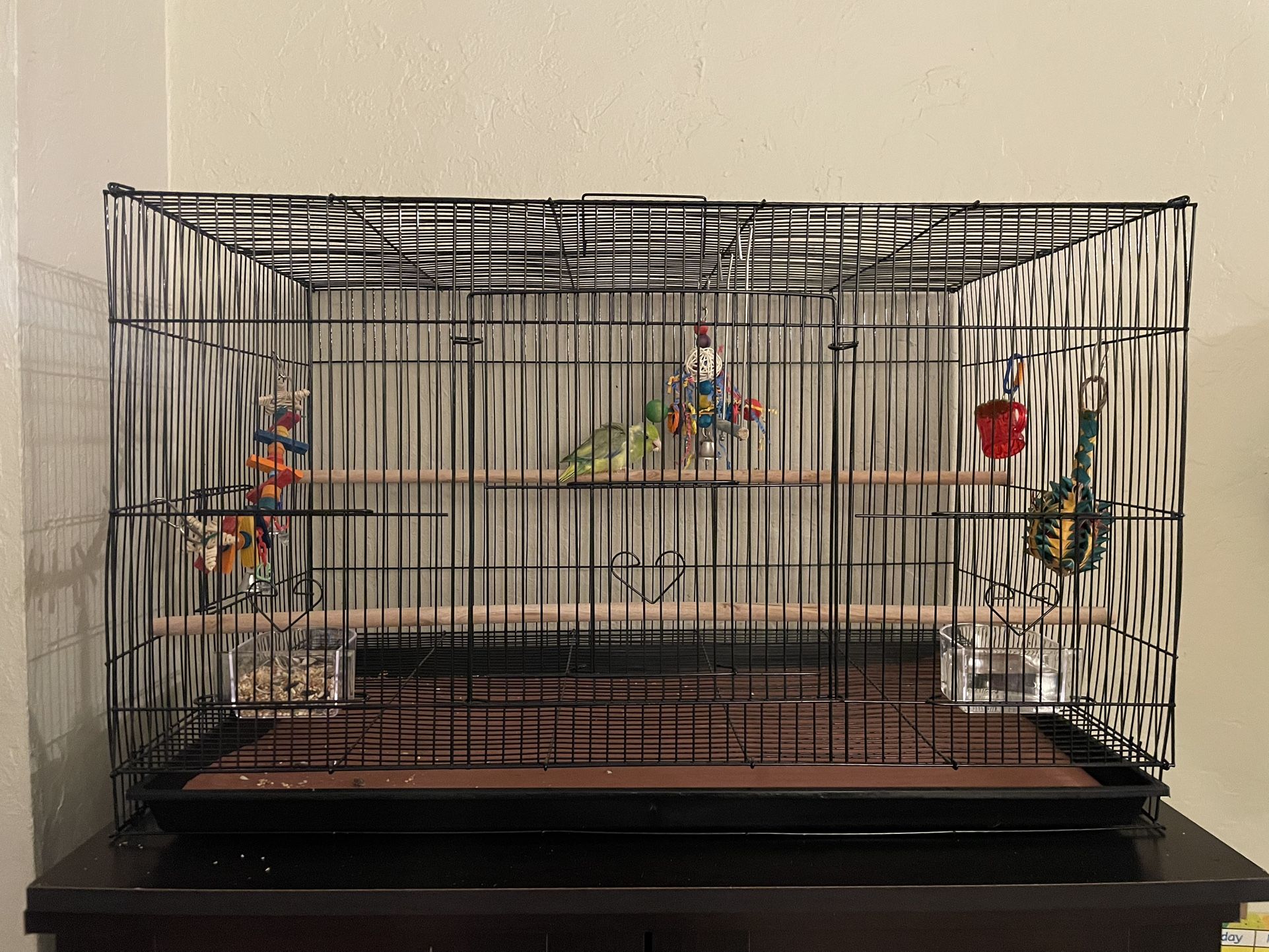 Bird Cage
