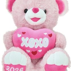 Pink 10” Pink Bear Plushie w/ 2026 Embroidered