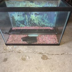 29 Gallon Fish Tank Setup Everything Included