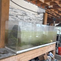 Fish Tanks 280+