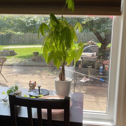 Leer Información  Completa