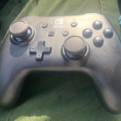 Nintendo Switch Controller 