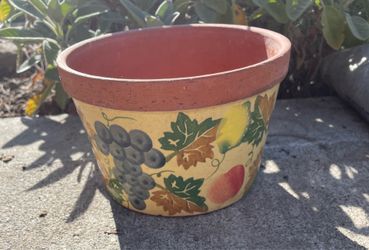 terracotta garden pot