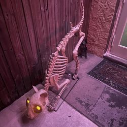Halloween 5ft Skelly Cat 