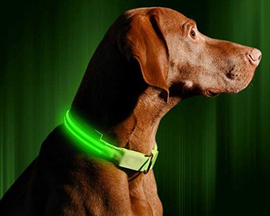 USB Rechargeable LED Dog Collar Night Safety Flashing Glow Pet Dog Cat Collar With Usb Cable Charging Dogs Accessory