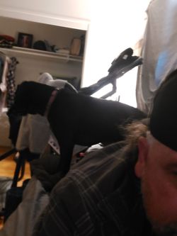 Teeter Inversion Fit Spine with massage and heat like new well kept