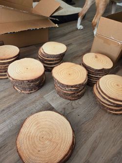 Wood Slices