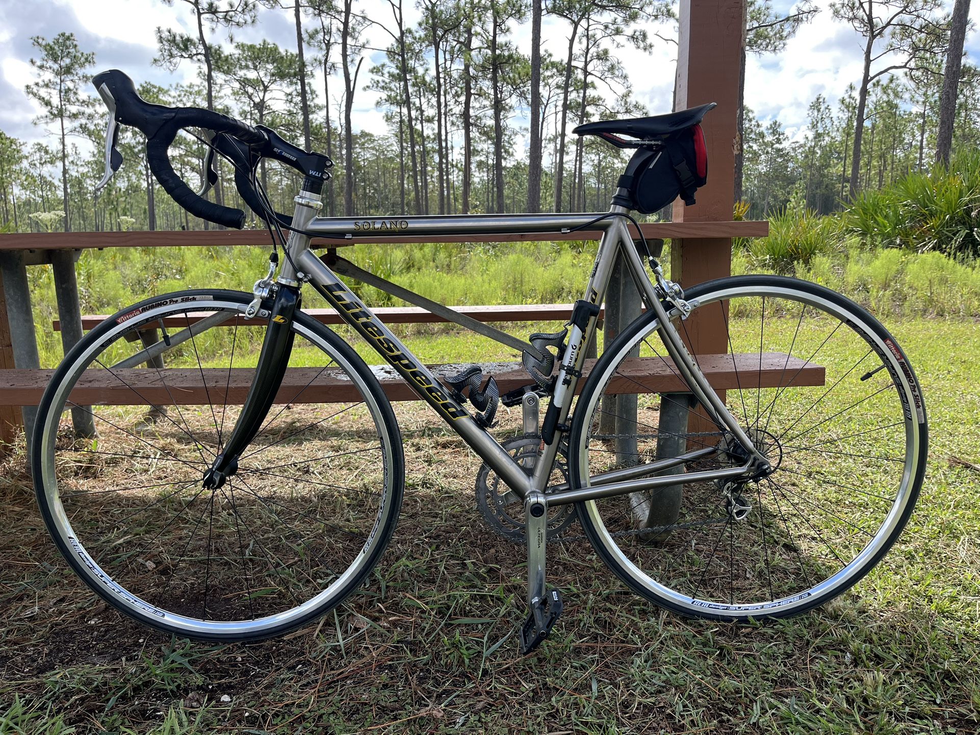 Road Bike Titanium LiteSpeed Bicycles