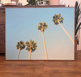 Framed Palm Tree Canvas Wall Art