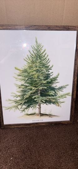 Framed art tree