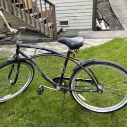 Adult Bike