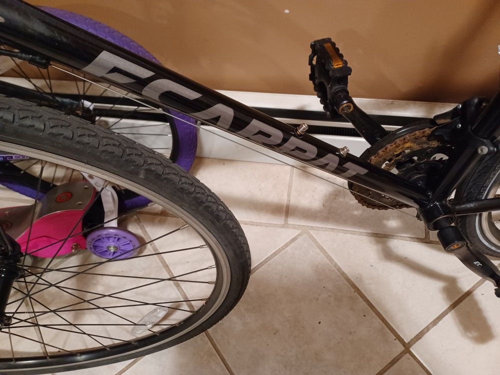 Ecarpat Bike