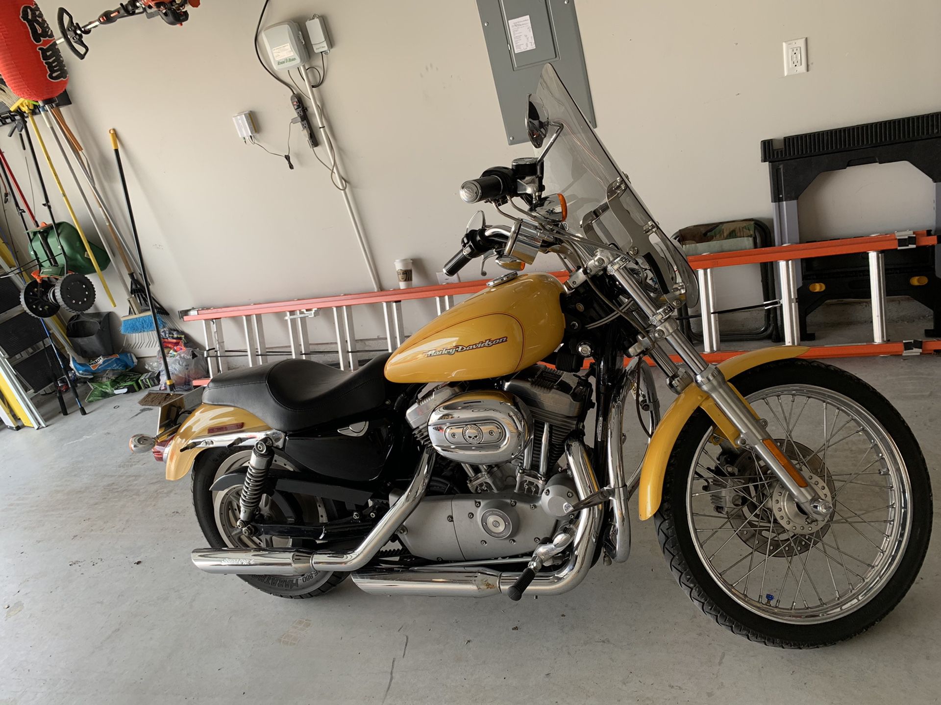 2005 Harley sportster XL