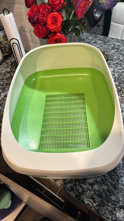 Cat Litter Needs To Go