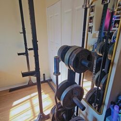 Complete Gym Set (READ DESCRIPTION)