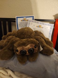 Build a Bear Jumping Spider