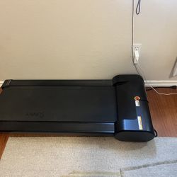 Indoor Walking Treadmill
