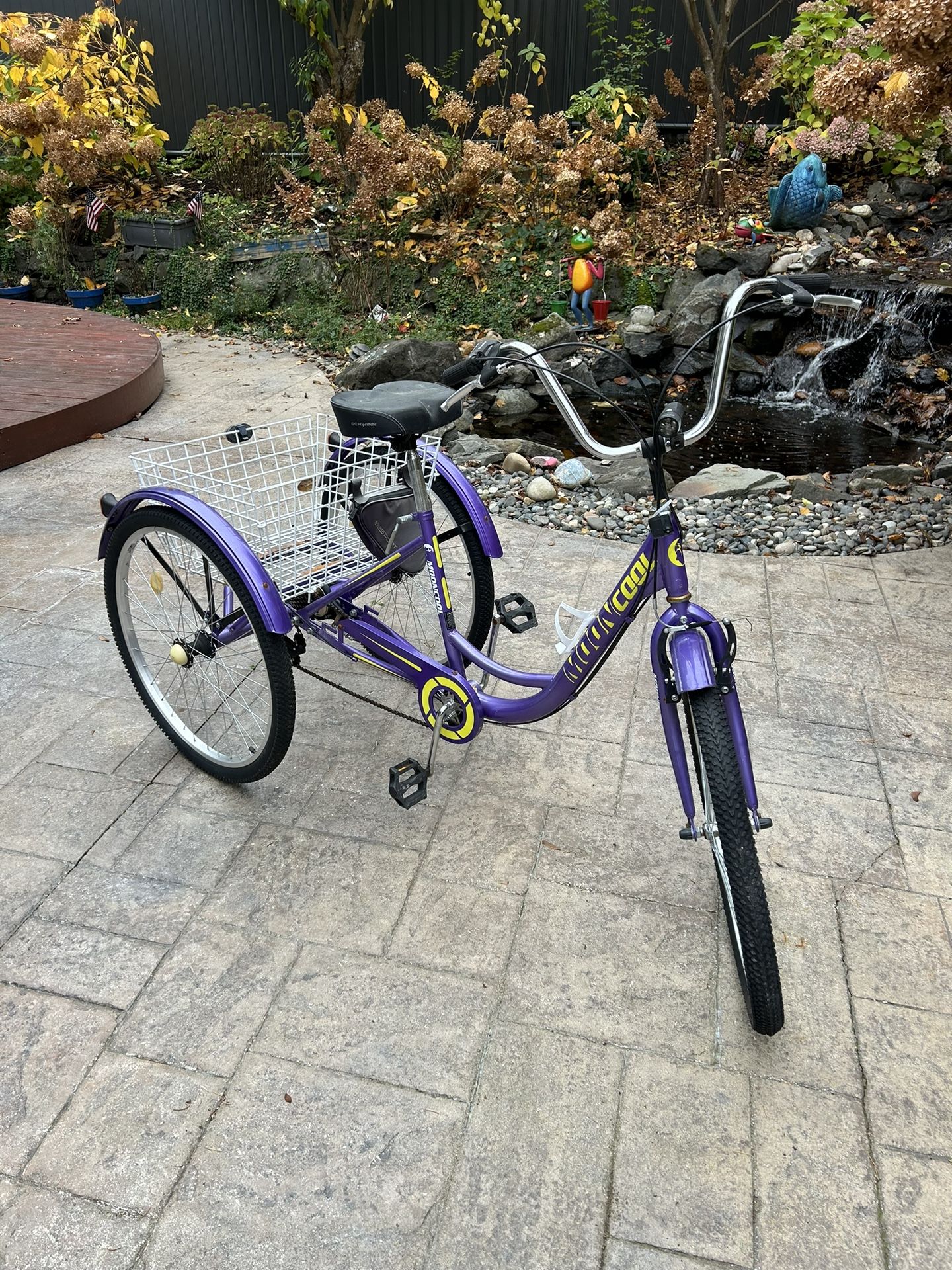 Adult Tricycle! 
