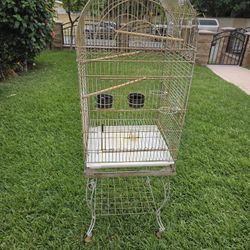 Bird Cage 