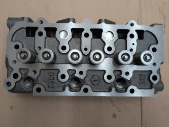 Kubota D902 Complete Cylinder Head w/ Valves RTV900 New