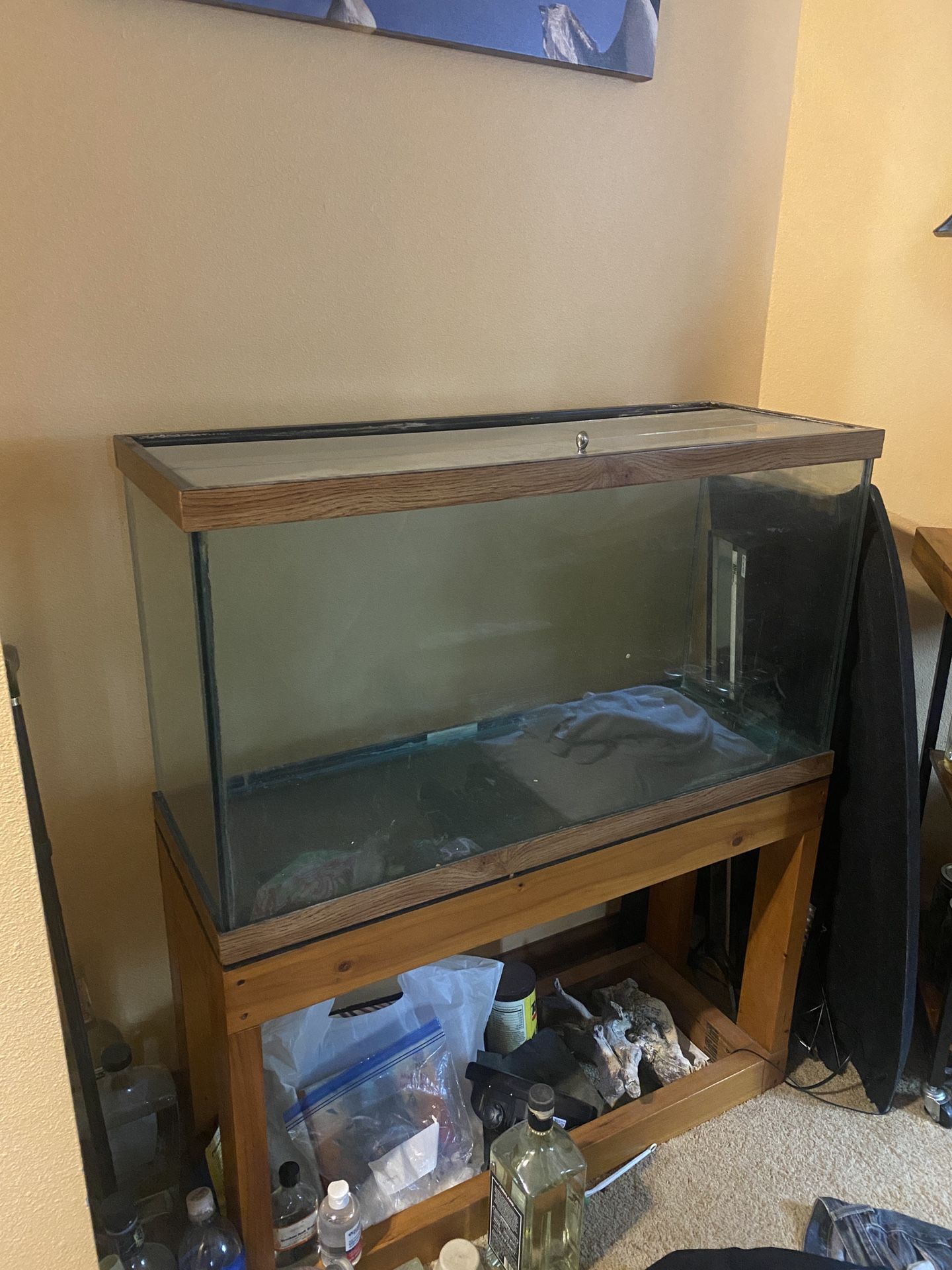 Fish Tank & Stand