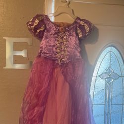 Girl Halloween Costume ( Rapunzel) 