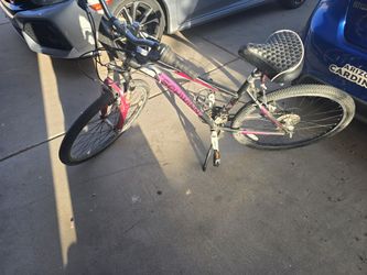 Schwinn Girls Bike