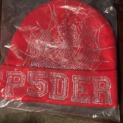 Sp5der Beanie 