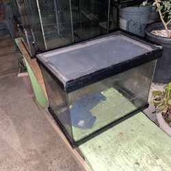 Reptile Enclosure