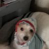 Alvin