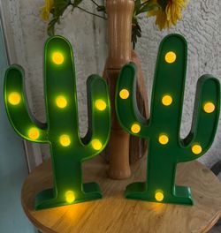 Light up Cactus