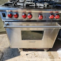 Wolf  Gas Range 
