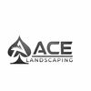 ace landscaping 