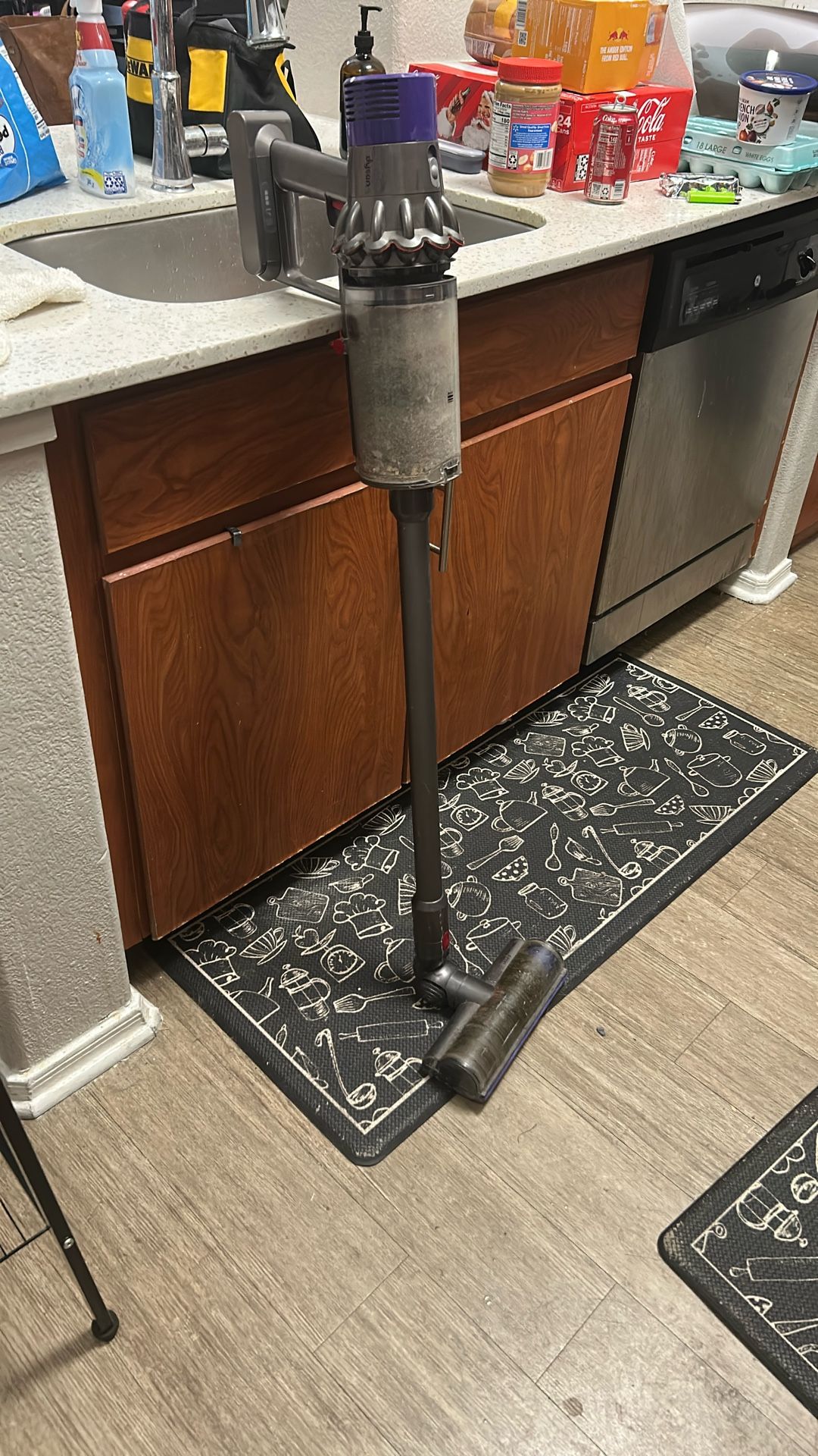 Dyson Cyclone V10 Animal