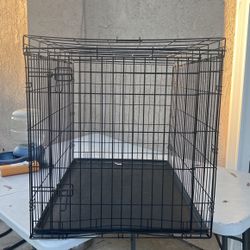 Dog Cage