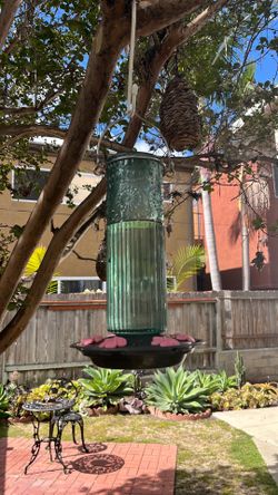 Hummingbird feeder