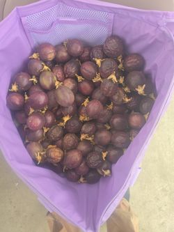 Passion fruit