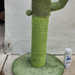 CAT scratcher Cactus