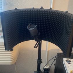 Microphone Stand With Mic 