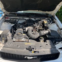 2005 Ford Mustang