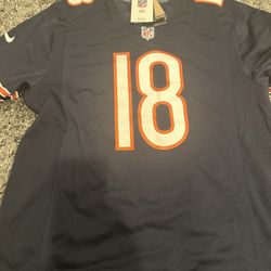 Brand New Nike NFL Chicago Bears Jersey - Size L
