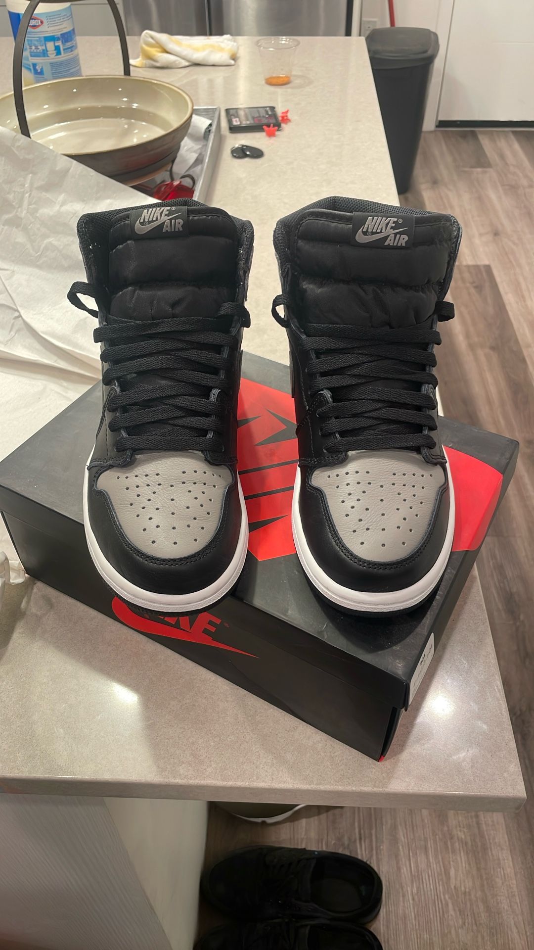 Air Jordan 1 Retro OG Shadow