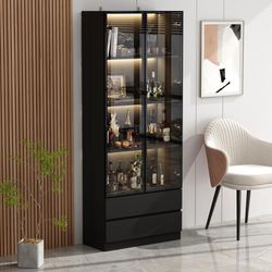 Modern Black Wooden Accent Storage Cabinet with LED