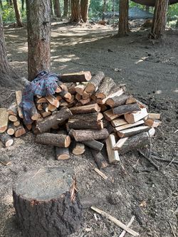 Firewood not season