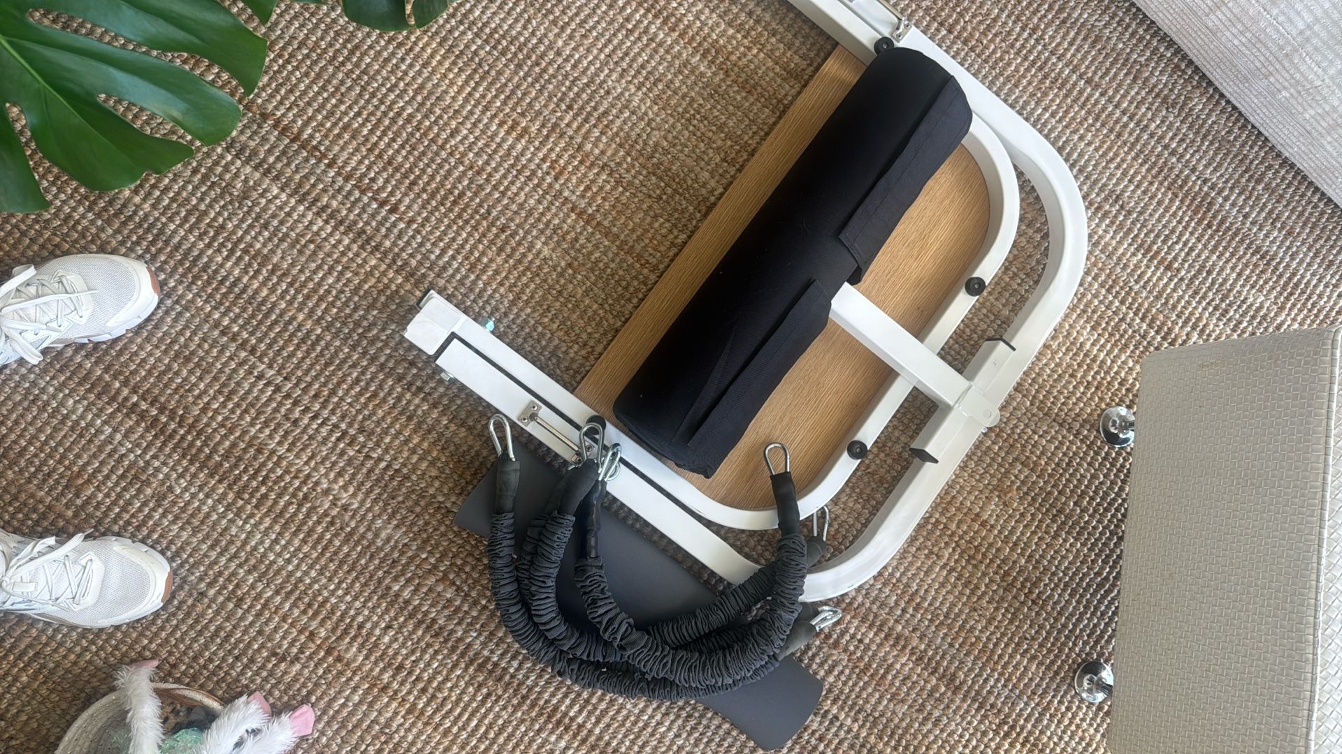 Booty Sprout W/ Extra Heavy Bands