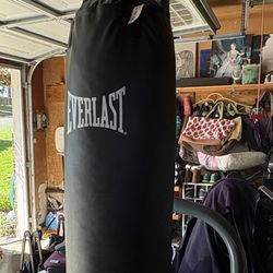 Heavy Bag and Stand