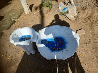 Water Fountain