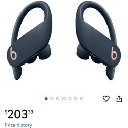 Beats Powerbeats Pro Wireless Earbuds