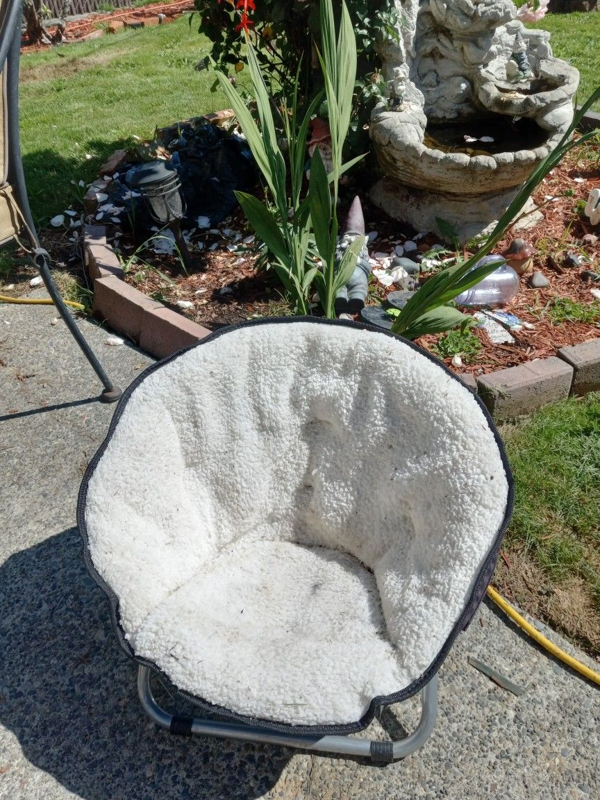 Cat Or Small Dog Bed